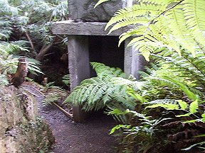 caves