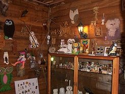 owlcollection2